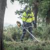 DCMBC723N-XJ Bull Handle ClearSaw 4
